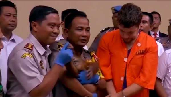 Россиянин арестован на Бали с орангутаном