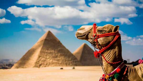 Находясь в Египте где лучше отдохнуть 